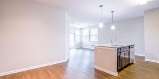 Linden on the GreeneWay Gallery 4