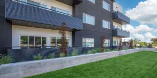 The Clara Gallery 11