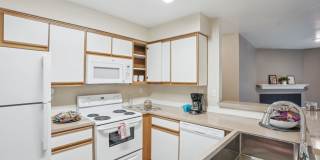 The Stratford Gallery 12