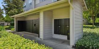 The Presidio Apartments Gallery 27