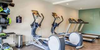 Rica Vista Gallery 2