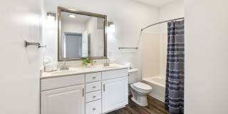 Olympus Carrington Gallery 11