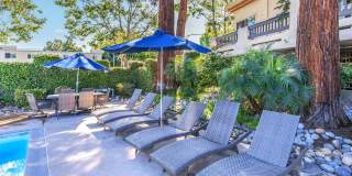 Paloma Vista Apartment Homes Paloma Vista Apartment Homes Gallery 4