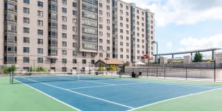 Half Moon Harbour Gallery 29