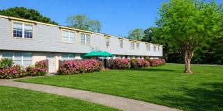 Bloom@Dresden Park Gallery 1