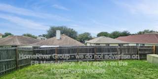 14211 Yellow Warbler Gallery 16