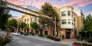 Paragon at Old Town Gallery 14