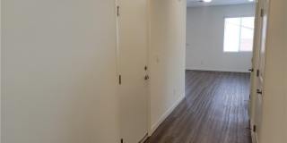 8056 Kings Guard Street Gallery 8