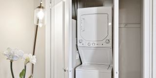 Belmont Buckingham Gallery 31