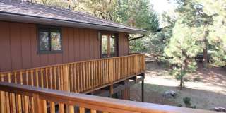 Wooded View Estate in Jacksonville Gallery 26