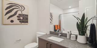 Vicino Bellevue Gallery 26