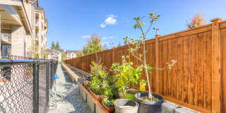 Puget Park Apartments Gallery 20