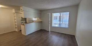 Penthouse Gallery 1