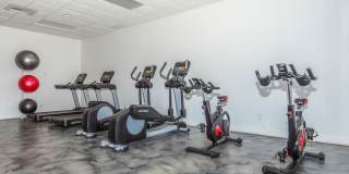 32 Arcadia Gallery 16