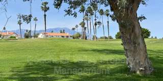 269 Vista Royale Cir W Gallery 52