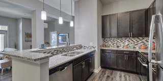 Nexus at Sandhill Apartment Homes Gallery 31