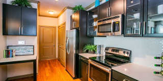 Aliso Briar Forest Gallery 10