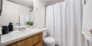 Desert Springs Gallery 17