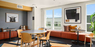 Ion Town Center Gallery 26