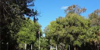 1860 Bald Eagle Dr unit: 403B Gallery 1