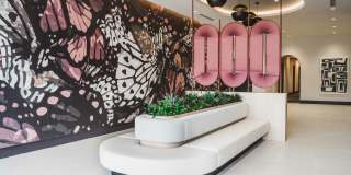 Modera Coral Springs Gallery 33