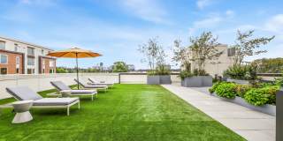 Ellis at Bel-Red Gallery 36