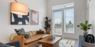 The Parallel The Parallel Gallery 7