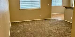 AV16563 Gallery 5