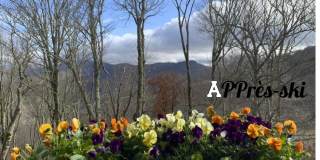 102 Sugar Ski Drive Gallery 1