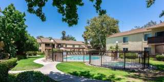 Updated 1 bedroom-1 bath, First Floor Condo in Desirable Rancho Mission Villas Gallery 10