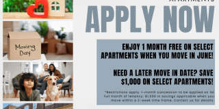 Versailles Apartment Gallery 1