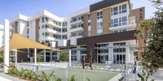 Elements Gallery 145