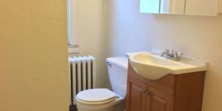 Lovely One Bedroom Apartment in Squirrel Hill Gallery 13