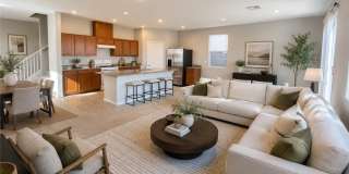 8489 Green Alder Court Gallery 1