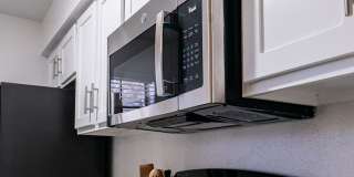 Lyv Austin Gallery 25