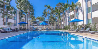 Los Arboles Apartments Gallery 31