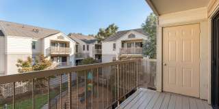 Lakeshore Apartments Gallery 4