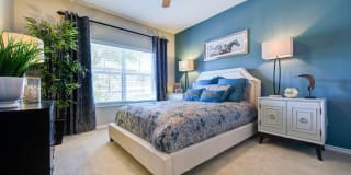 Callista Hill Country Apartments Gallery 12