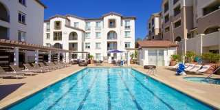 Torrey Gardens Gallery 12