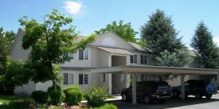 The Pines Apartments Gallery 2