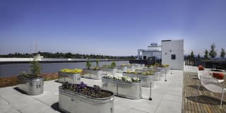 Assembly118 Gallery 29