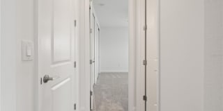 33875 CASTAWAY Loop Gallery 63