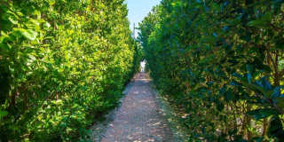 2225 Seaside Street Gallery 28