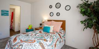 Whispering Sands Gallery 13