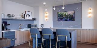 Ellis Bethesda Gallery 43