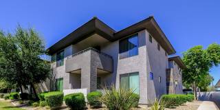 Avora Gallery 18