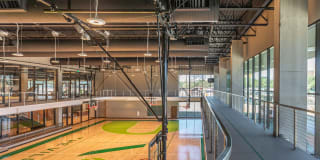 The Village Drey Gallery 60