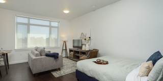 The Dahlia Gallery 6