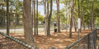 Paramount at Kingwood Gallery 23