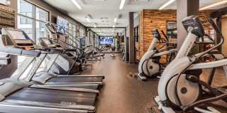 The Griff Gallery 28